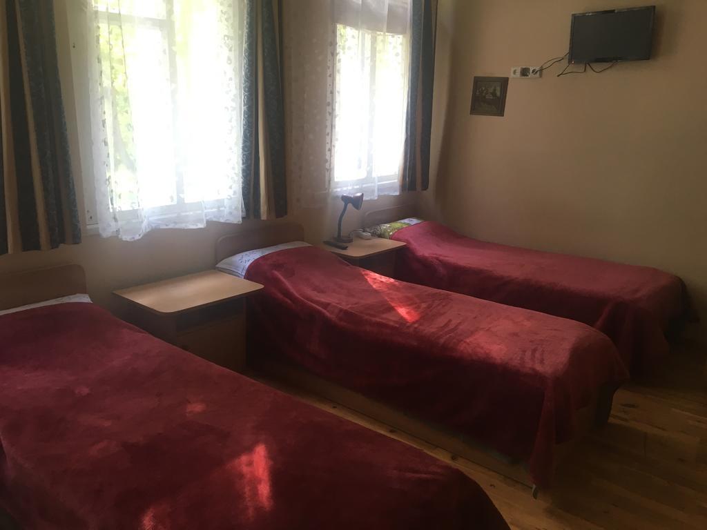 Parko Vila Druskininkai Kültér fotó